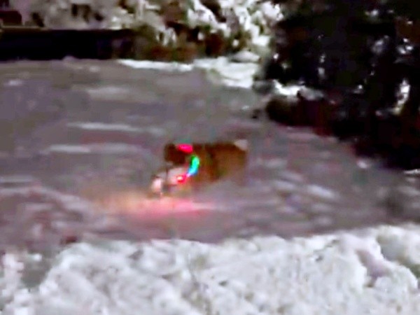 行き止まりまで走ると、クルッと方向転換するハクくん（画像提供：HAKU_shiba2020さん）