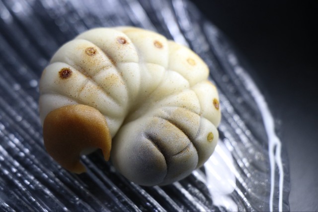 カブトムシの幼虫…まるで本物みたいです（御菓子司 長盛堂提供）