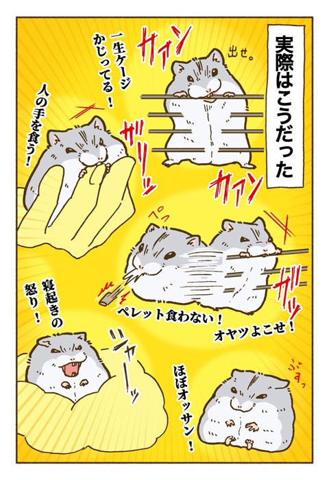 【漫画】「ハムスターを飼う前の想像と飼った後の思考こんな感じ」（提供：遊ハちさん）