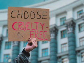 子どもから大人まで　動物実験のことをわかりやすく伝えるJAVAオリジナル動画