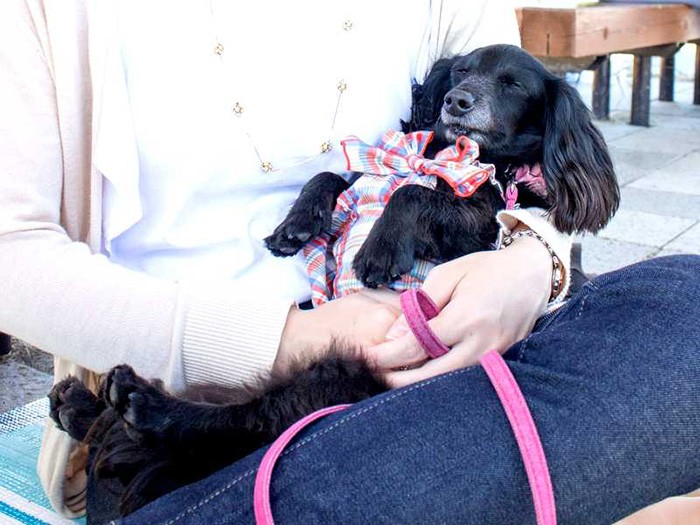 腕の中ですやすやおやすみ中