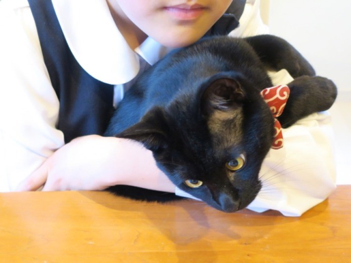 小学５年生のニイノちゃんと、10カ月のミー吉