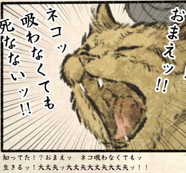 ネコ吸わなくても死なない！（うぐいす歌子さん提供）