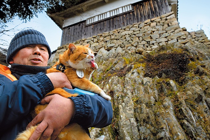 本丸裏側は隠れた絶景スポット。天然の岩盤を活かした築城は他にない魅力