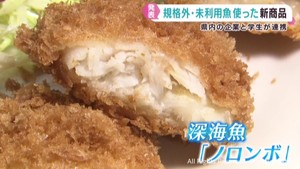 規格外や未利用の魚で商品開発　宮城大学の学生も開発に携わる
