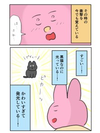 【漫画】『黒猫ちゃんと初めて会った日の思い出』5（なおにゃんさん提供）