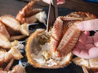 はさみで殻を切りながら味わう毛ガニ ※画像はイメージです（yukimco/stock.adobe.com）