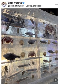 柴田祐里菜アナウンサーのインスタグラム＠uhb_yurinaより