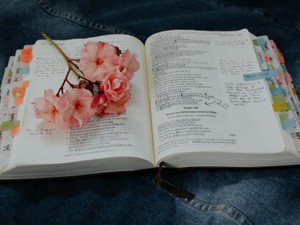 「可愛いと頭がいいは両立する」という圧倒的ブレイクスルーの結果