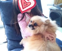 優しい娘さんに抱っこされるはるちゃん