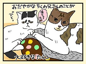 フラれ猫タラコ　親心には塩対応　やっぱ、猫じゃけぇ(40)