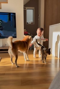 「3人」はとっても仲良しさん（「halu4809」さん提供、Instagramよりキャプチャ撮影）