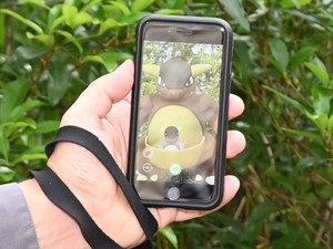 ポケモンGOのレアキャラが導いた生物学の研究成果　異能の科学者が沖縄にいた