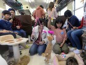「にゃん鉄」猫１５匹と戯れ３時間　新たな飼い主を探す列車の旅