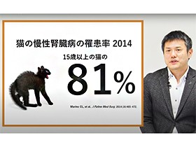 猫の腎臓病と「高血圧」に関連あり　早期発見に血圧測定のススメ
