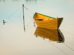 お金の存在、「便利ツール」以上。辿り着いた先は「人生そのもの」