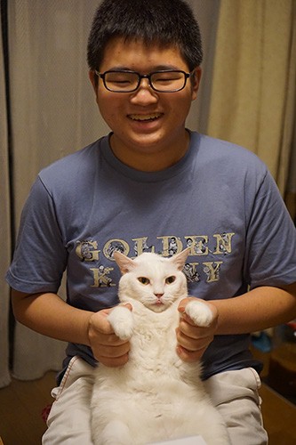 「猫は可愛いからね」