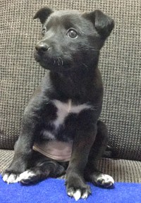 ※池畑さん提供