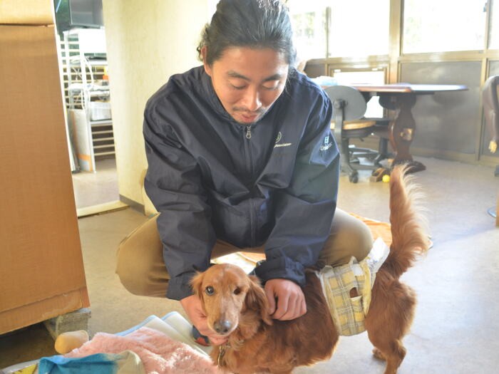ダックスフンドをなでるスタッフの奥田さん。ダックスフンドは、今年２月に一度に15匹をレスキューしたうちの１匹
