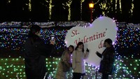 2月14日はバレンタインデー　テーマパークに期間限定のイルミネーションがお目見え　香川・丸亀市