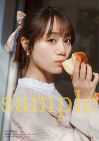 伊藤美来さんフォトブック『みっくぶっくらいぶらりー』ゲーマーズ通常版　特典L判ブロマイド３枚セット