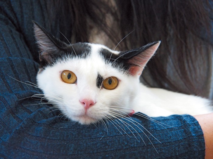 甘えん坊に変身したハンナちゃん