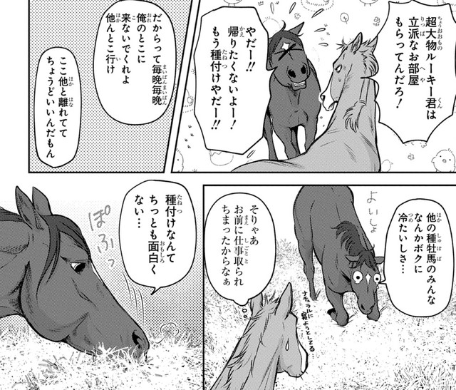 毎晩自分の馬房を抜け出してくるイスカンダルにアカギファルコも呆れ顔（高草木こぶさん提供）
