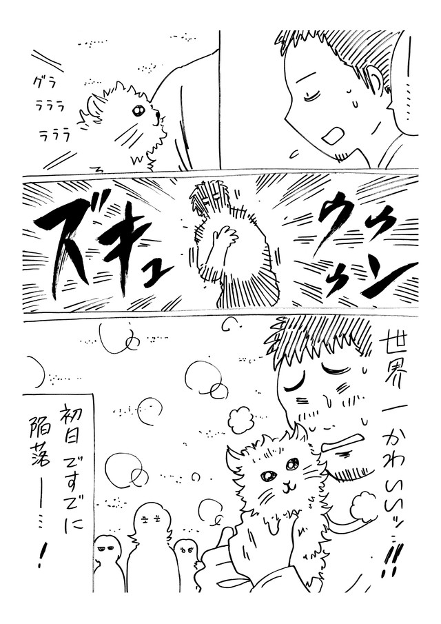 【漫画】『もふたがうちに来たときの話』4（横山了一さん提供）