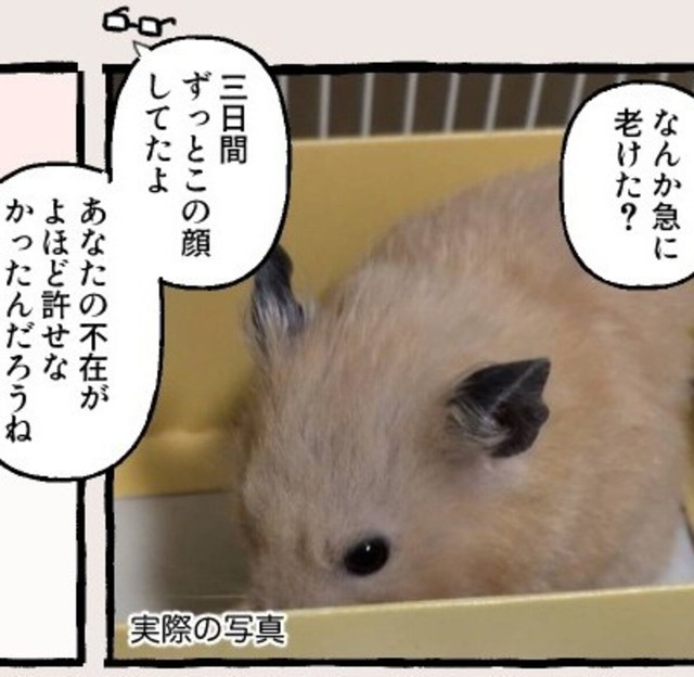 急に老けた？（しらほし卯乃さん提供）
