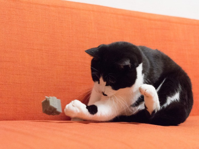 「なぜかノーバウンドで捕球したくなるんだ」（小林写函撮影）