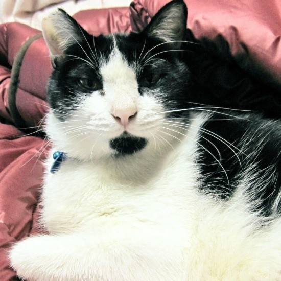 かずみさんが２階の寝室に上がるのを待っていた