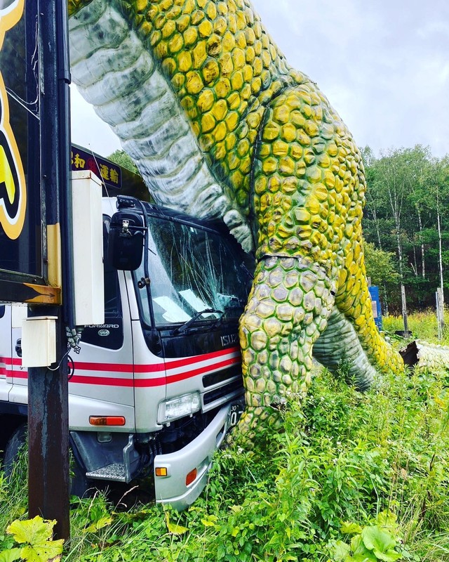 土手っ腹にトラックが突っ込んで･･痛々しい姿のマイケル君（提供画像）