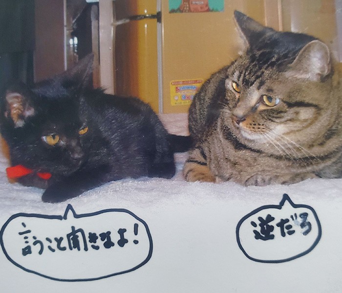 ルナ（右）を見る目つきが微妙