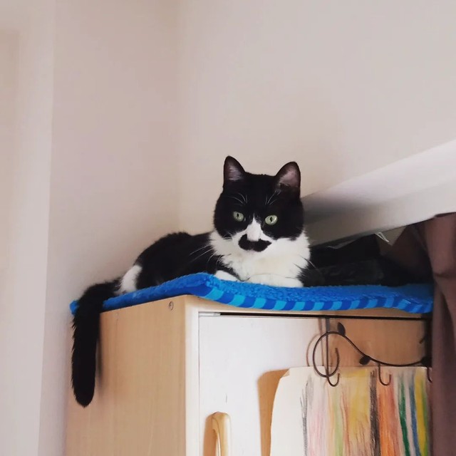 朝からいないと思ったら・・・
