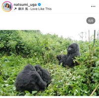 宇賀なつみアナのインスタグラム＠natsumi_ugaより