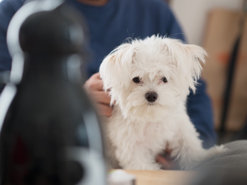 「レイです。ボリス・ジョンソンじゃないよ。ここに来てまだ10カ月なんだ」（小林写函撮影）