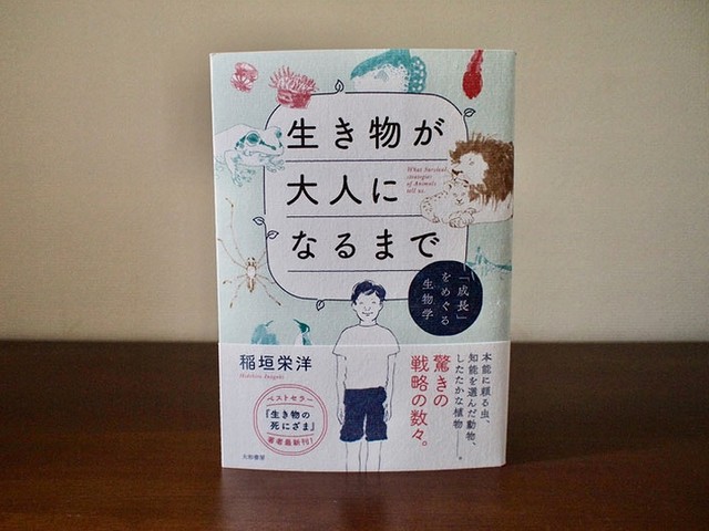 子育ては 強い生き物だからこそできること では 人間は 生き物が大人になるまで 前編 じんぶん堂 子育ては 強い生き物だからこそできること では 人間は 生き物が大人になるまで 前編 じんぶん堂