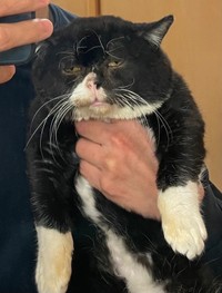 もんたくん、どうした？ その顔･･･（提供写真）