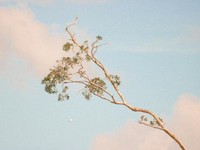 「みんなと同じように」って誰のため？脱・他人の価値観に従う自分