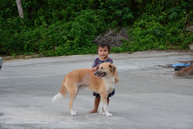 ニウエのビーチで出会った子どもと犬