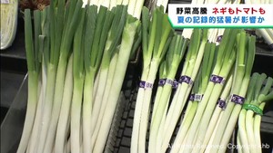 鍋の季節を前にネギの価格が高騰　猛暑の影響でトマトも高騰