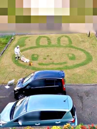71歳父の「芝刈りアート」芝が伸びるのを待って少しずつ刈ります（画像提供：March of petalsさん）