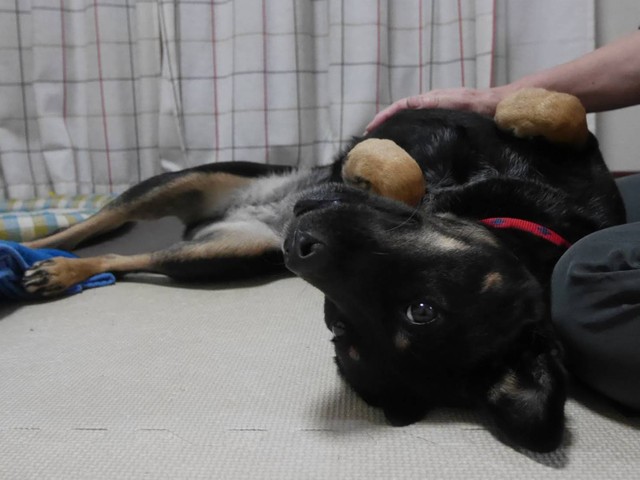 おうちでまったり