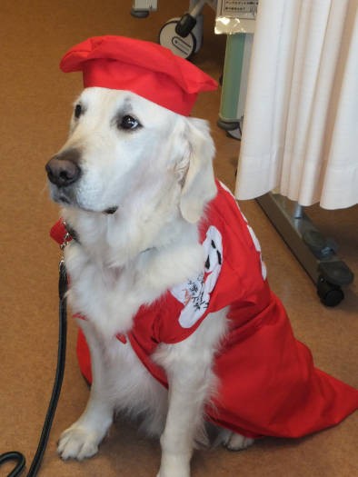 患者さんの高校生男子が作ってくれた、還暦のちゃんちゃんこと帽子。似合いすぎ！