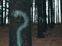 住基ブロックはなぜ更新制？誰のための制度なのかを今一度考えたい