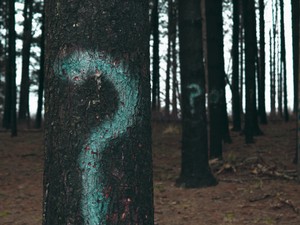 住基ブロックはなぜ更新制？誰のための制度なのかを今一度考えたい