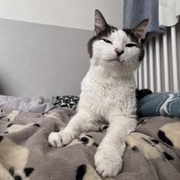 日常の中では、笑っているような表情を見せてくれることも