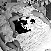 寝しなは丸まっていた（左から）ダダくん、ミアちゃんですがーー（画像提供：マグルの猫さん）