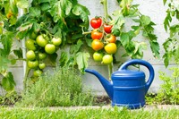 「ハス口」を外すときは？※画像はイメージです（chulja/stock.adobe.com）