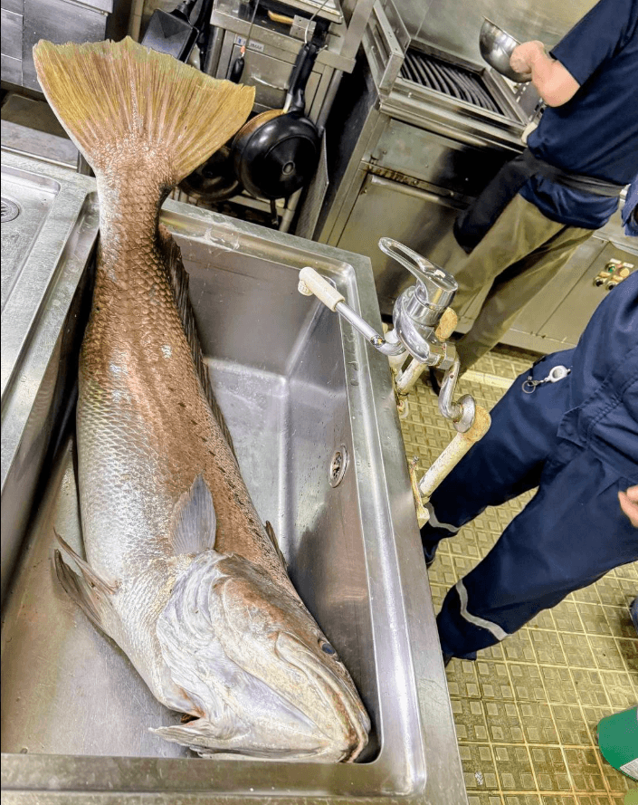 シンクが急に小さく見えるサイズ感のバグ。「落とし物用のカギ棒」で引き上げた獲物（画像提供：東幸海運さん）